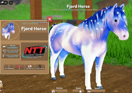 Wild horse islands - horse,